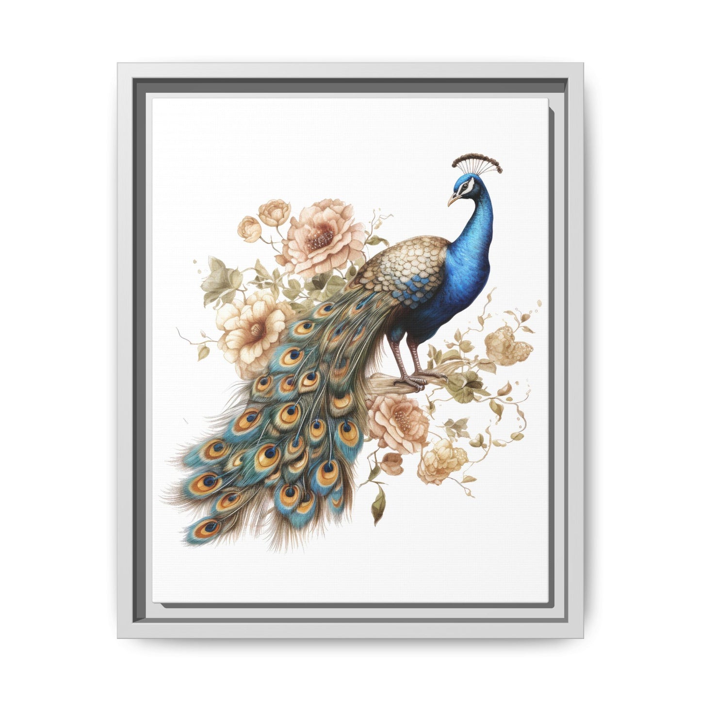 Peacock Canvas Art Print 11x14