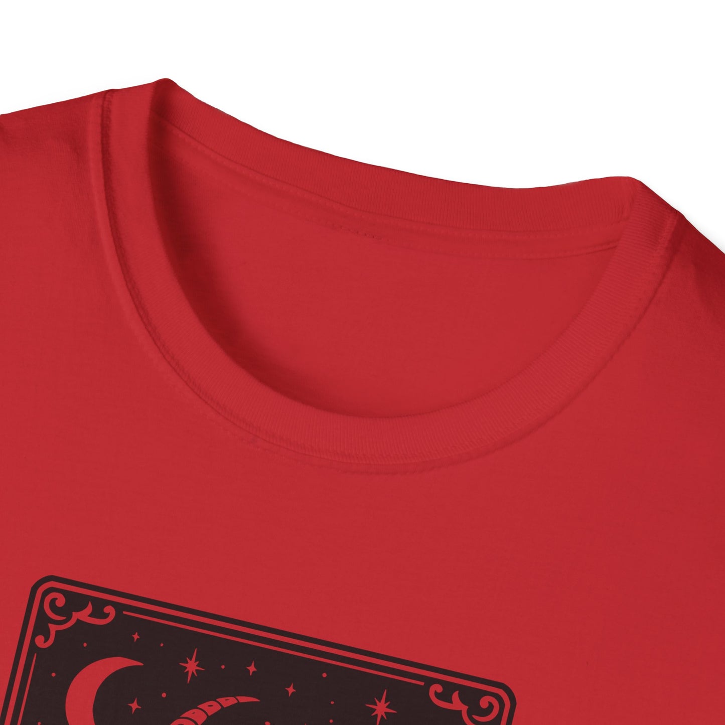 Capricorn Softstyle Unisex T-Shirt