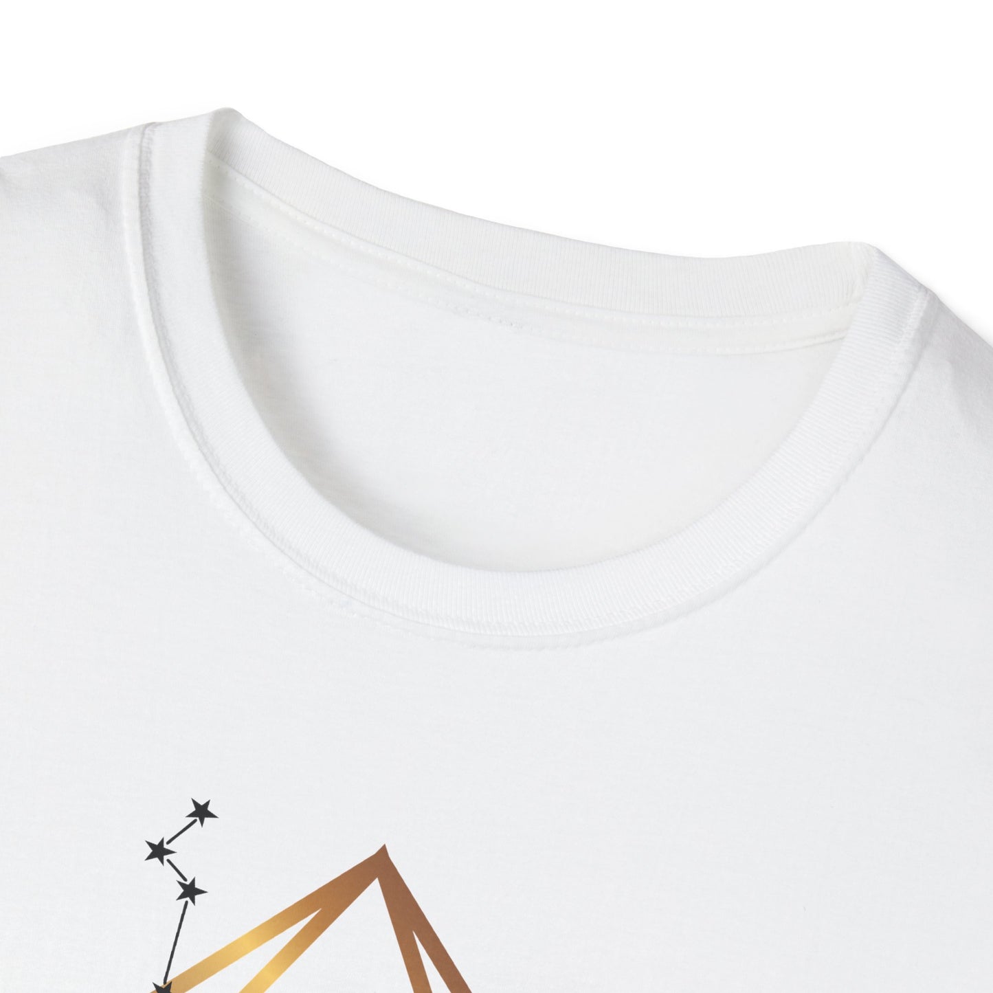 Pisces Unisex Softstyle T-Shirt